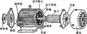 振動(dòng)電機(jī)損壞的常見(jiàn)原因有哪些？